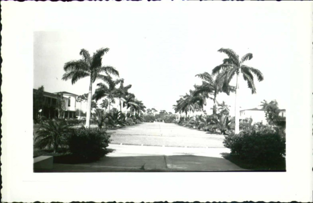 View of the campus mall from the steps of Cor Jesu Chapel