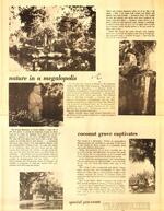 1970-11-30 Hourglass Special Issue